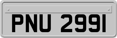 PNU2991