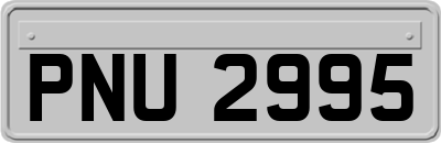 PNU2995