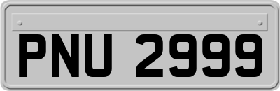 PNU2999