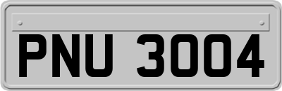PNU3004