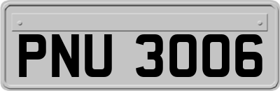 PNU3006