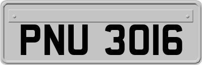 PNU3016
