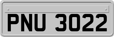 PNU3022