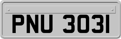 PNU3031