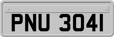 PNU3041