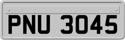 PNU3045