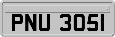 PNU3051