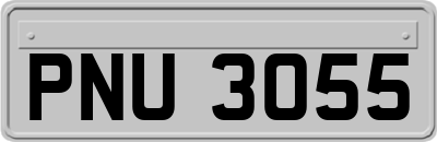 PNU3055