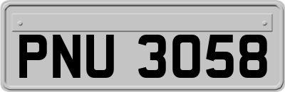 PNU3058