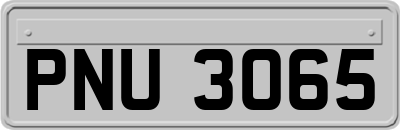 PNU3065