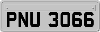 PNU3066