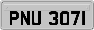 PNU3071