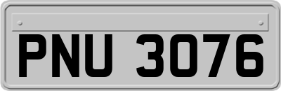 PNU3076