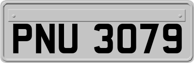 PNU3079