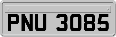 PNU3085
