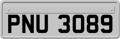PNU3089