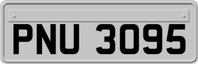 PNU3095