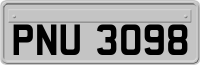 PNU3098