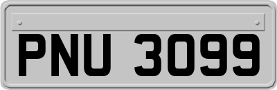 PNU3099
