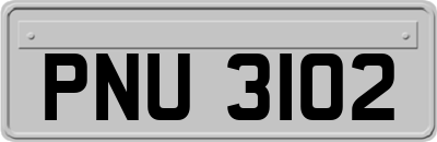 PNU3102