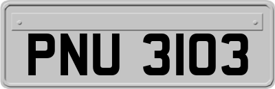 PNU3103