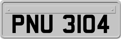 PNU3104
