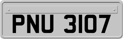 PNU3107