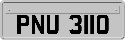 PNU3110