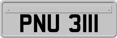 PNU3111