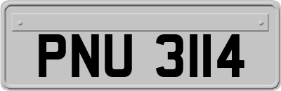 PNU3114