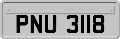 PNU3118