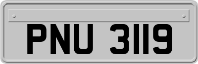 PNU3119