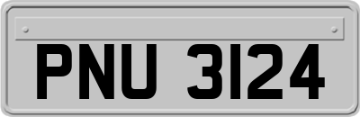 PNU3124