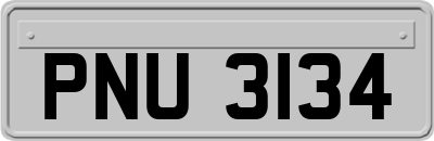 PNU3134