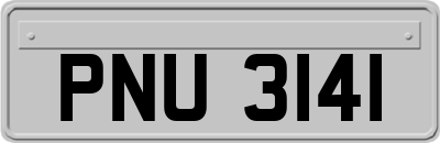 PNU3141