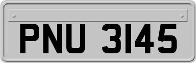 PNU3145