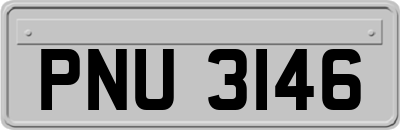 PNU3146