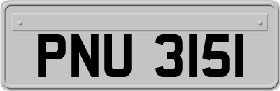 PNU3151