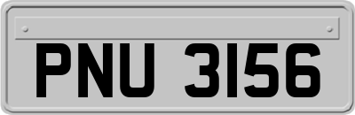 PNU3156