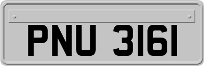 PNU3161