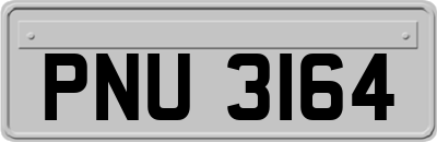 PNU3164