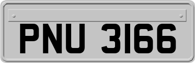 PNU3166