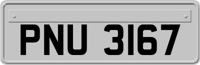 PNU3167