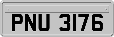 PNU3176