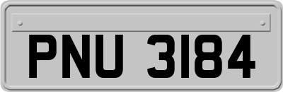 PNU3184