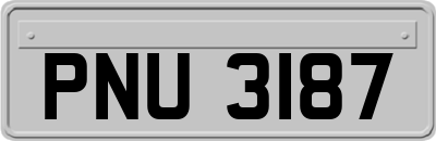 PNU3187