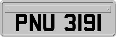 PNU3191