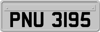 PNU3195