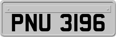 PNU3196