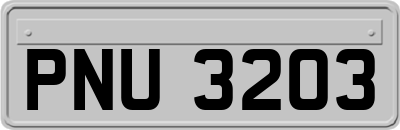 PNU3203